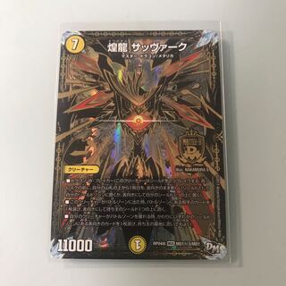 煌龍 サッヴァーク　シク　【M-17