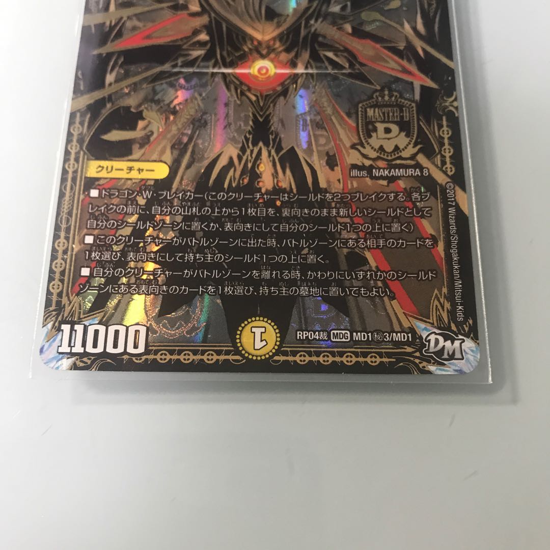 煌龍 サッヴァーク シク 【M-17