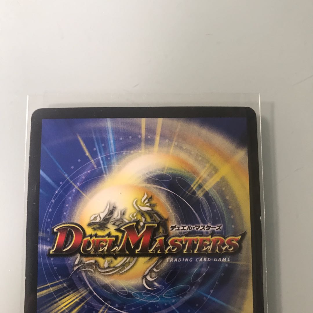 煌龍 サッヴァーク シク 【M-17