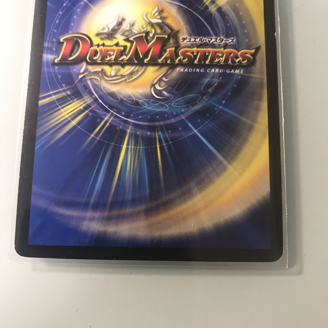 煌龍 サッヴァーク シク 【M-17