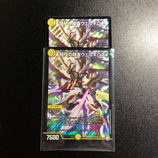 闘門の精霊ウェルキウス