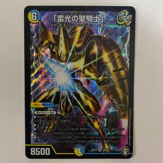 (追跡有)「雷光の聖騎士」