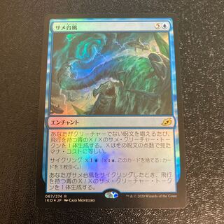 【foil】サメ台風
