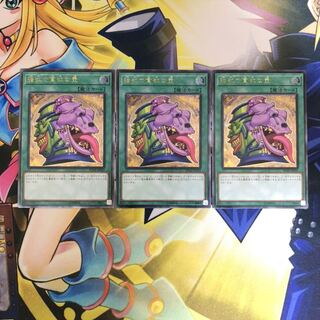 強欲で貪欲な壺 UL 3枚