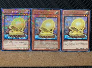【ぽぽたん】遊戯王 6434 ワーム・オペラ 3枚 レア DT