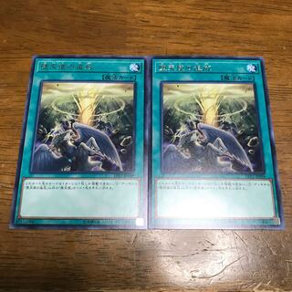 堕天使の追放 R 2枚　fdkj1920