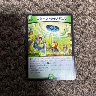 コクーン・シャナバガン