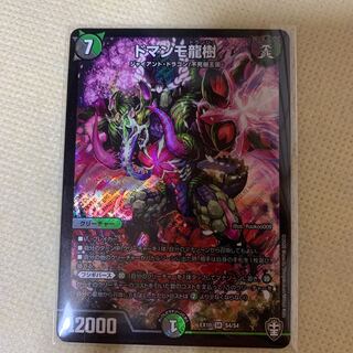 ドマンモ龍樹 SR