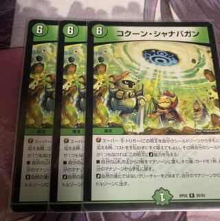 コクーン・シャナバガン　3枚