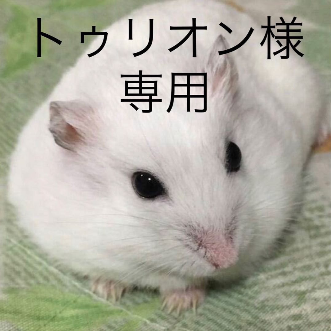 トゥリオン様専用