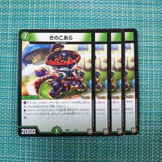 きのこあら ４枚セット 354