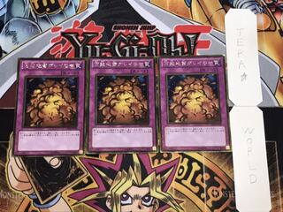 万能地雷グレイモヤ ゴールド 3枚セット てら