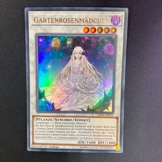 ドイツ版 ガーデン・ローズ・メイデン