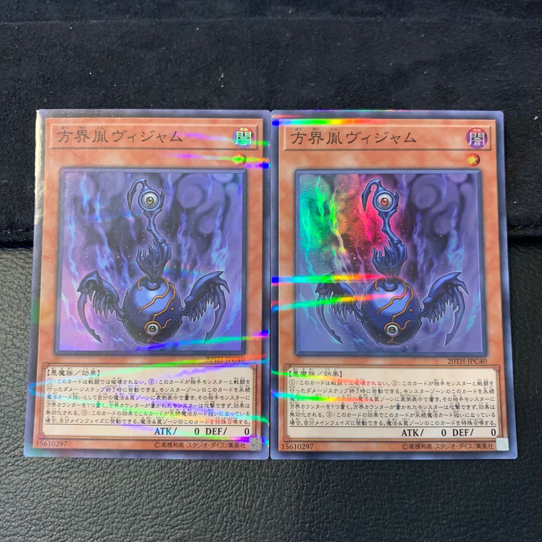 方界胤ヴィジャム P-SR