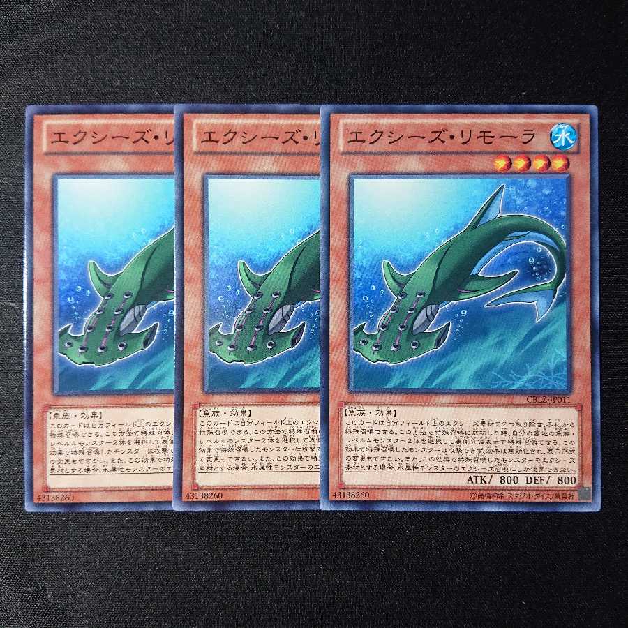 エクシーズ・リモーラ