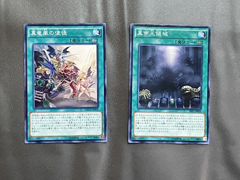 すぐ戦えれる命削り真竜