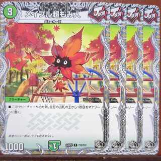 メイプル超もみ人(黒トレジャー) C T12/T12