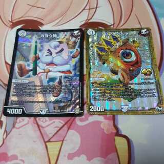 武田観柳斎様専用