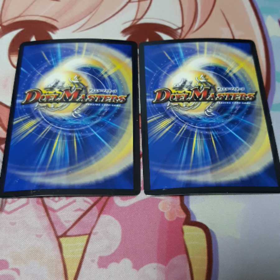 武田観柳斎様専用