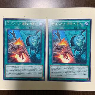 妨げられた壊獣の眠り R