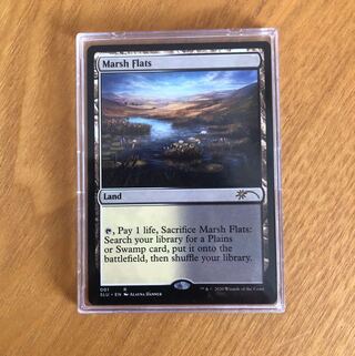 湿地の干潟 secret  lair版