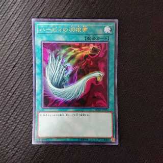 ハーピィの羽根帚