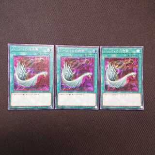 ハーピィの羽根帚