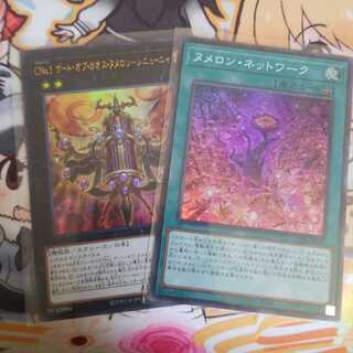 ヌメロンネットワーク