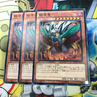 Bird of Paradise Lost 3 copies