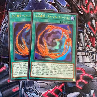 化石融合　フォッシル　フュージョン