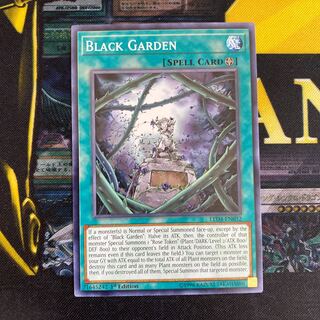 ブラックガーデン 海外版ノーマル