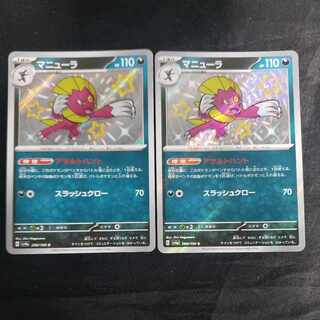 マニューラ S 290/190(2枚セット)