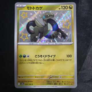 Moto lizard S 303/190