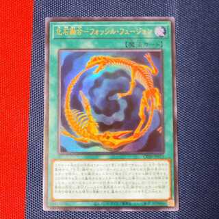 化石融合ーフォッシル・フュージョン