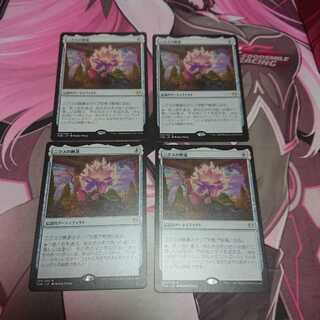 ニクスの睡蓮 4枚