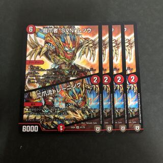 龍爪者“SVN”ムソウ｜二爪流トレーニング　４枚