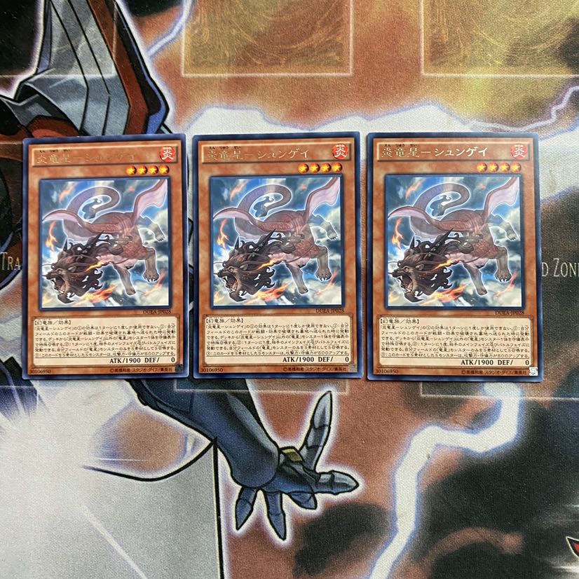 炎竜星-シュンゲイ