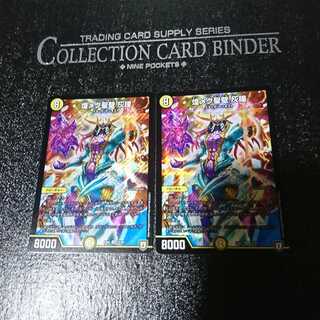 煌メク聖壁 灰瞳