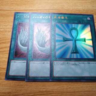 ハーピィの羽根帚、死者蘇生セット