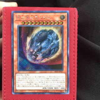 原始生命態ニビル アジアシークレット