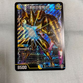 「雷光の聖騎士」