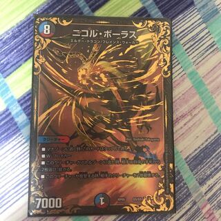 ニコルボーラス