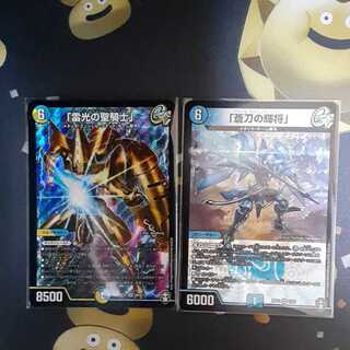 「雷光の聖騎士」