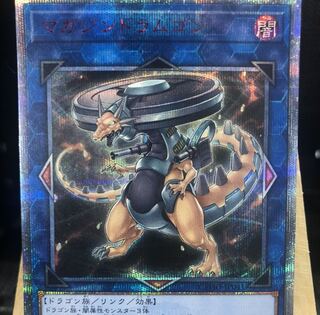 遊戯王【マガジンドラムゴン】20th