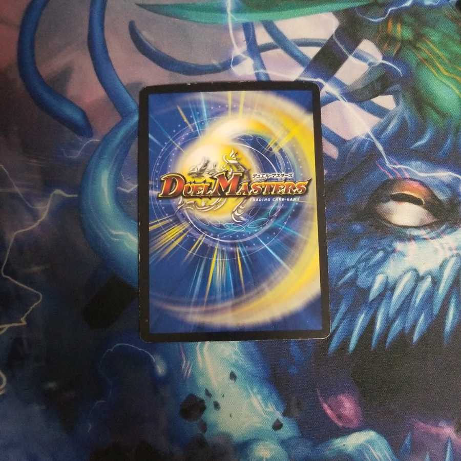 煌龍 サッヴァークおまけあります