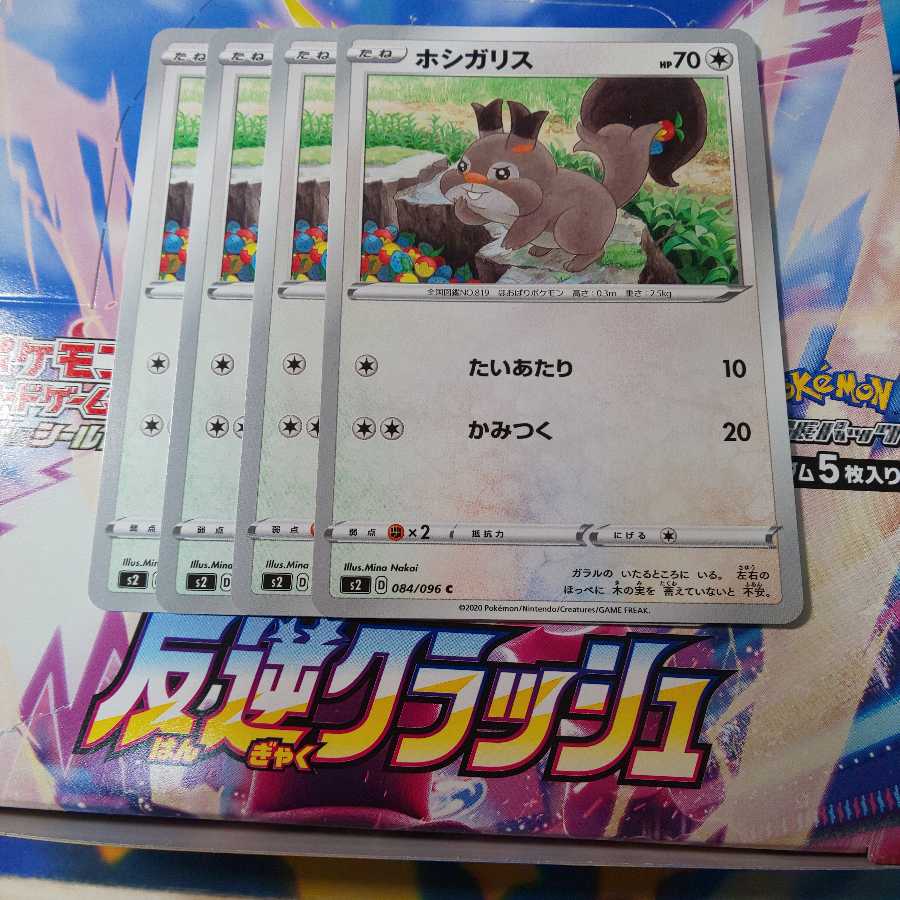 ホシガリス 4枚