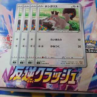 ホシガリス 4枚