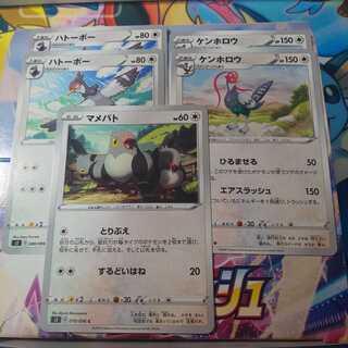 マメパト 1枚 ハトーボー 2枚 ケンホロウ 2枚 セット