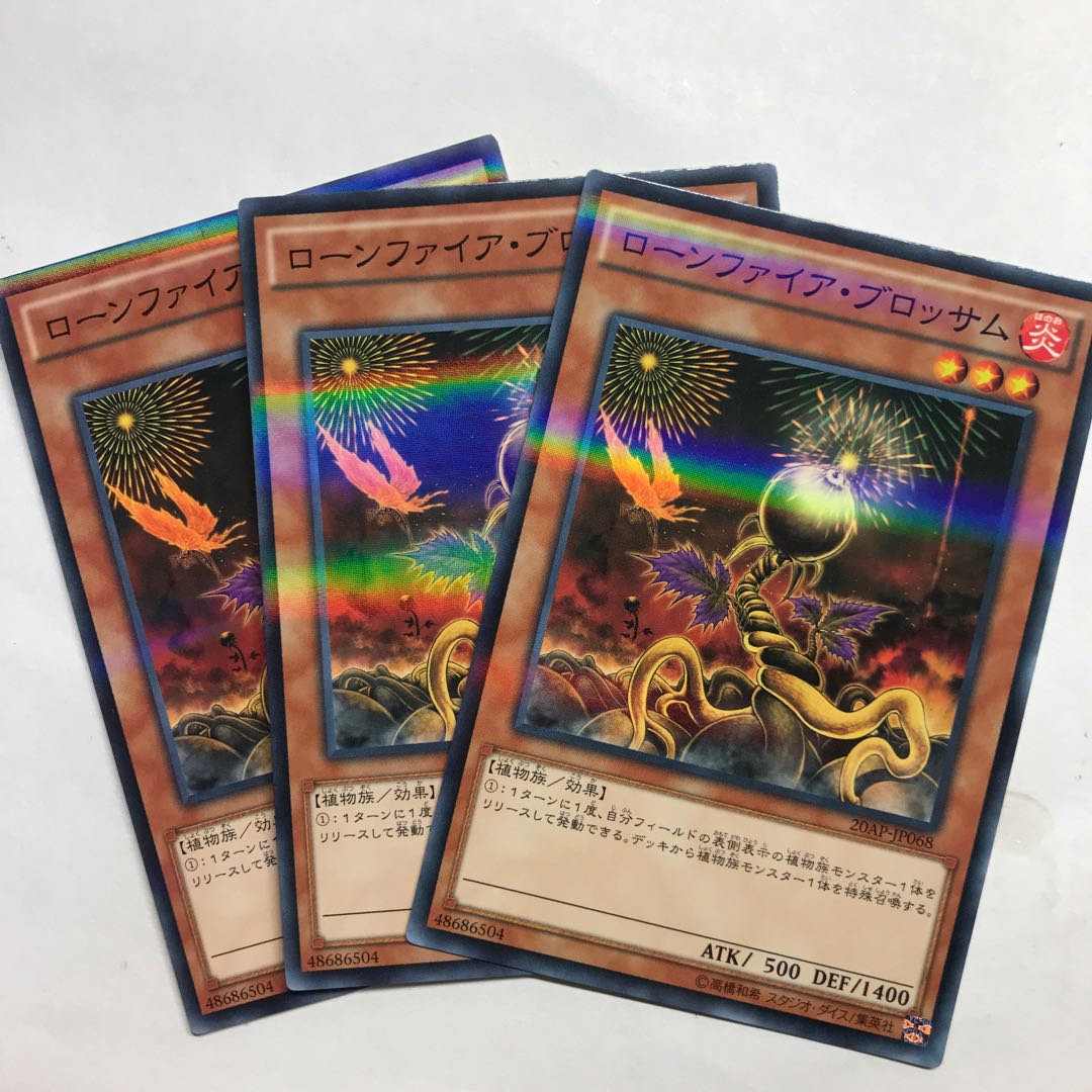 ローンファイア・ブロッサム