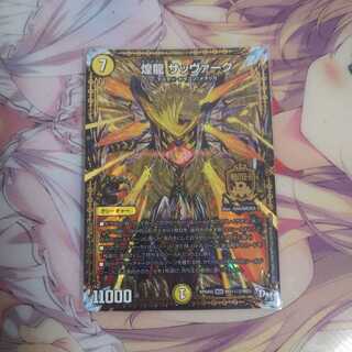 煌龍 サッヴァーク シク2 1枚